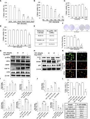 Synthesis and anti-melanoma effect of 3-O-prenyl glycyrrhetinic acid against B16F10 cells via induction of endoplasmic reticulum stress-mediated autophagy through ERK/AKT signaling pathway